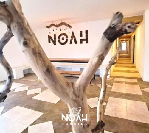 Iekārtas, Noah Housing in Santo Tome