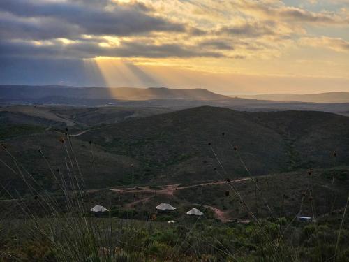 Garden Route Safari Camp