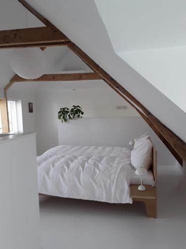  MAAN B&B + GALERIE in Kortgene