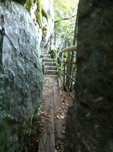 Hotel-Gasthof zur Krone - image 4