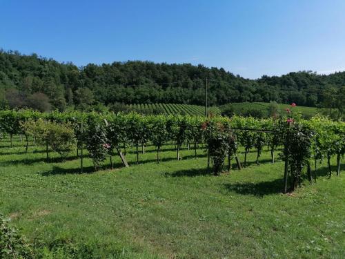Udvendig, Casa Sveva - Appartamento vista castello in Costa Di Mezzate