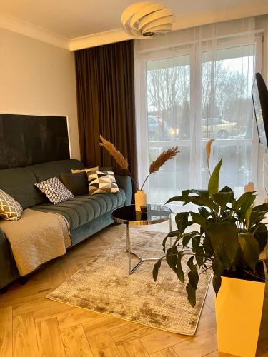 Apartamenty Kielce- Apartament Zacisze -Komfort przy Baseny Tropikalne