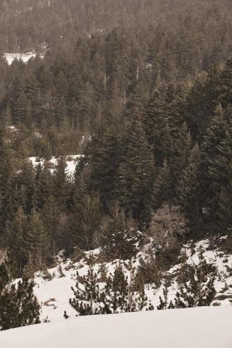 509584603 Grand Forest Metsovo - Leading Hotels of the World