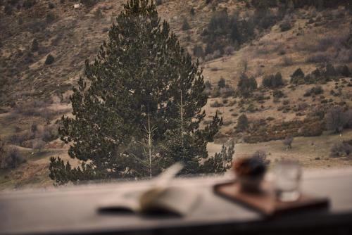 509585954 Grand Forest Metsovo - Leading Hotels of the World