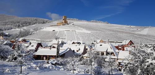 Sur la Route des Vins- très proche Colmar - Location saisonnière - Katzenthal