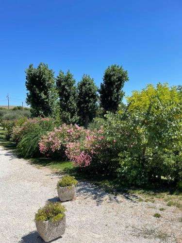 Agriturismo Villa Rosetta