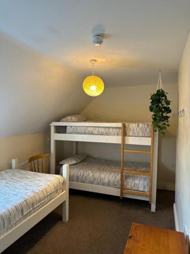 The Grapevine Hostel 4