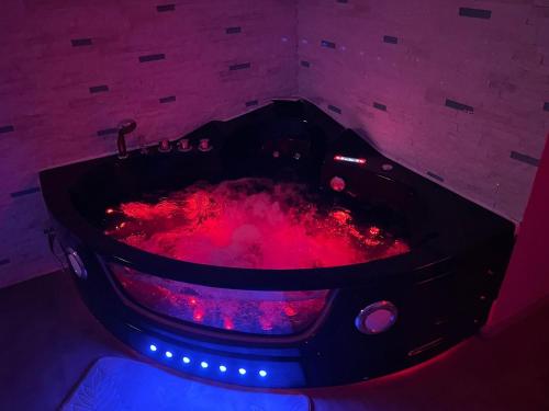 Love Room & Spa Jacuzzi - Location saisonnière - Fleury-les-Aubrais