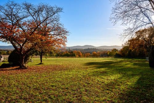 Picture of Garden Flat Near Goodwood With Stunning Views