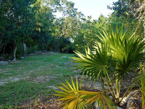 Reserva ecológica Santa Clara in Valladolid, Mexico