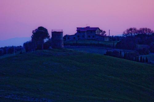  Podere Novo in Bibbona