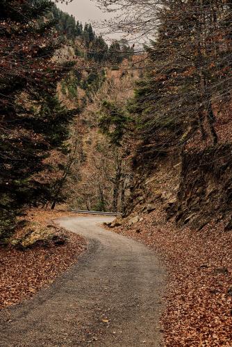 509624078 Grand Forest Metsovo - Leading Hotels of the World