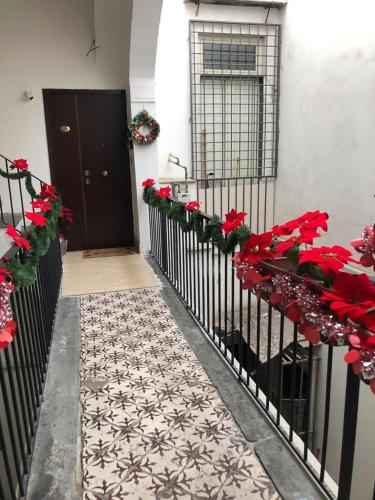 Keira house Napoli 4