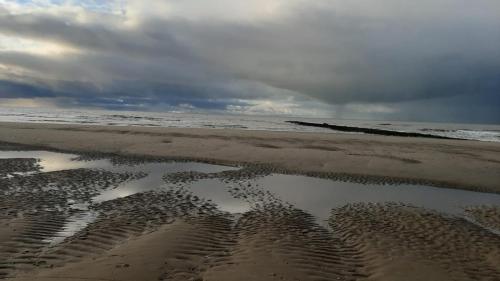 Melkmeisje in Oudeschild