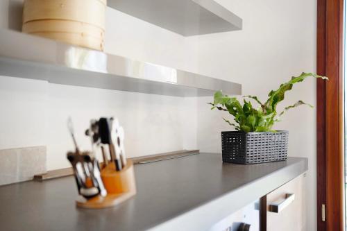 Ca' du Barba - Apartment - Taggia