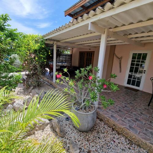 Nos Soño Stay and Dive (Nos Sono Stay and Dive) in Westpunt