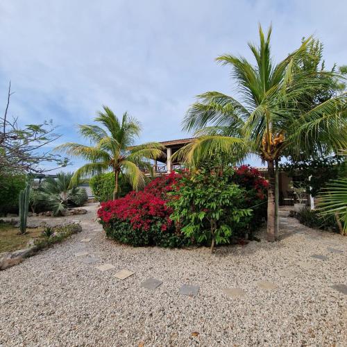 Nos Soño Stay and Dive (Nos Sono Stay and Dive) in Westpunt