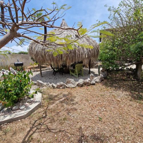 Nos Soño Stay and Dive (Nos Sono Stay and Dive) in Westpunt