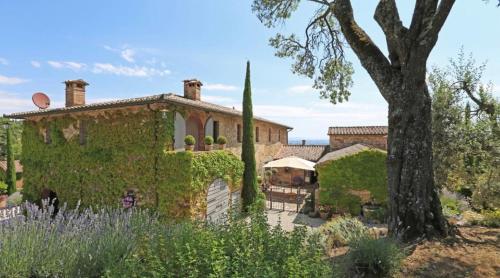 Abbadia Wine Relais 4