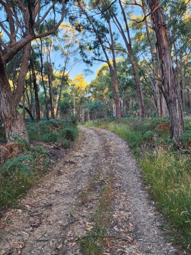 Daylesford - Frog Hollow Estate -THE COTTAGE - enjoy a relaxing and romantic night away in our gorgeous little one Bedroom ROMANTIC COTTAGE under the apple tree with water views