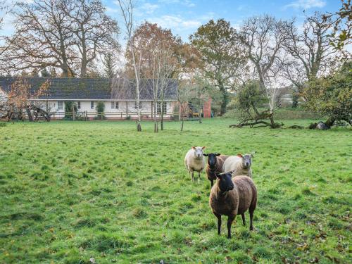 Paddock Barn