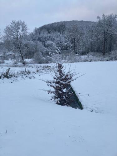 Nest Heiminghausen in Schmallenberg Városközpont