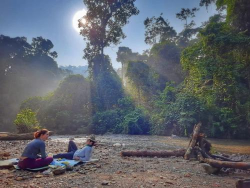 eco trekking lodge Bar & tour's