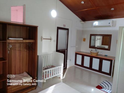 Sur la route des tortues in Rodrigues