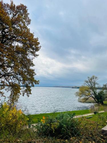 Restaurant Seeblick direkt am Schweriner See in Bad Kleinen