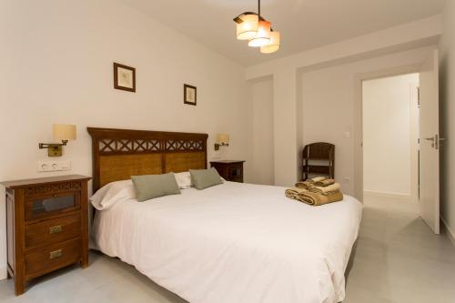 Apartamento Mulhacen Centro Free Parking, Granada (fotografie 5)