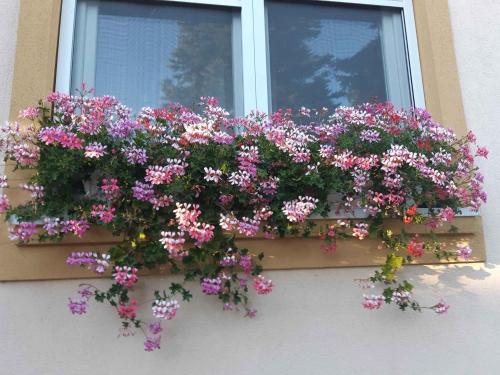 Holiday home in Badacsonytomaj 20247 - image 6