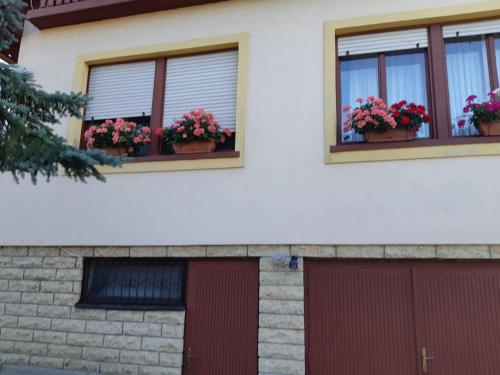 Holiday home in Badacsonytomaj 20247 - image 4