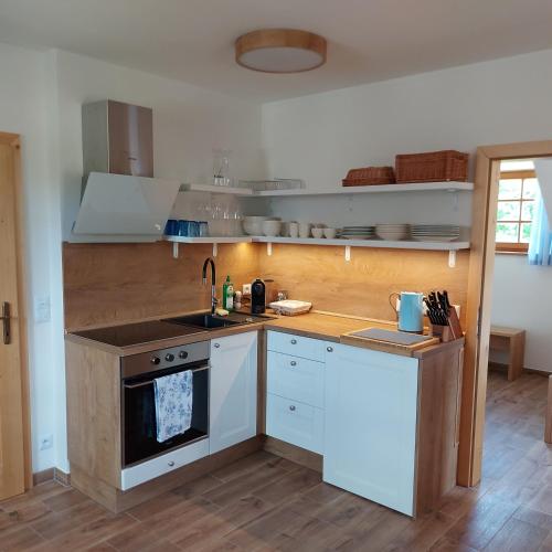 廚房, Apartmány Marie Albeř (Apartmany Marie Alber) in 琴德瑞楚夫赫拉德茨