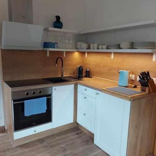 廚房, Apartmány Marie Albeř (Apartmany Marie Alber) in 琴德瑞楚夫赫拉德茨