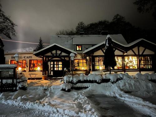 Hotel zum Forsthaus in Willingen, Deutschland