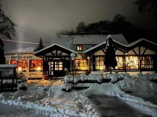Hotel zum Forsthaus in Willingen, Deutschland