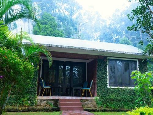 Falling Waters Munnar, Munnar (fotografie 10)