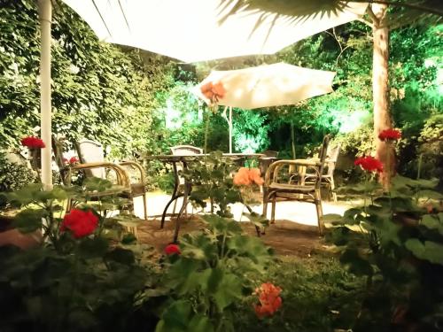Park Hotel Amfora - image 10