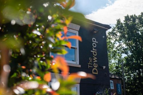 The Dewdrop Inn - image 6