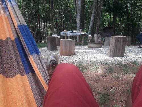 Cabana em Ouro Preto: represa mata caiaque e bike