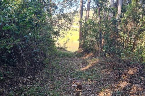 Cabana em Ouro Preto: represa mata caiaque e bike