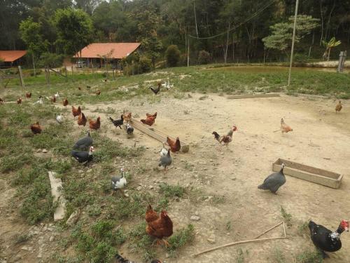 Cabana em Ouro Preto: represa mata caiaque e bike