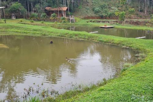 Cabana em Ouro Preto: represa mata caiaque e bike