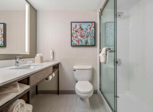 Hilton Garden Inn Dallas/Allen - image 10