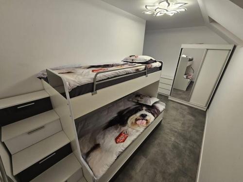 Comfy & Cozy Apartament 2, Rădăuţi (Foto 9)