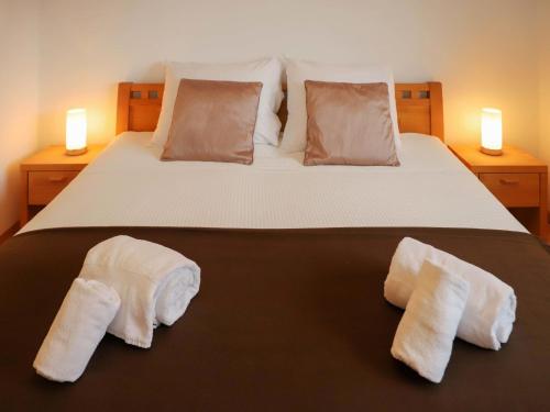 Apartment Brigitte by Interhome, Zermatt (photo 5)