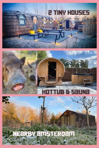 Bed & Wellness Pigs and Pillows with private hottub and sauna and tandembike rental included in price near Amsterdam, Almere