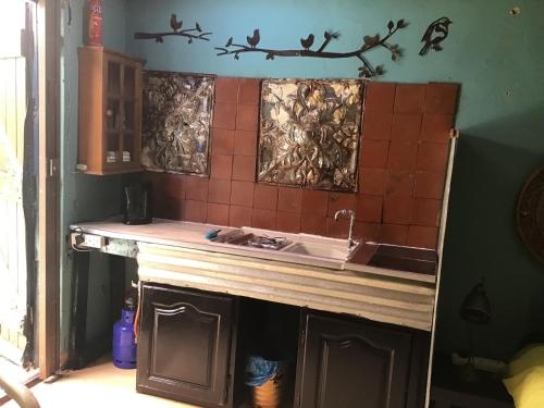 The shack life in Heidelberg