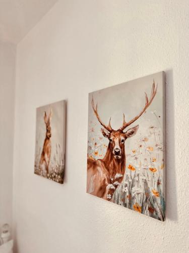 Two Bedroom Flat with Sea Views! in East Wemyss