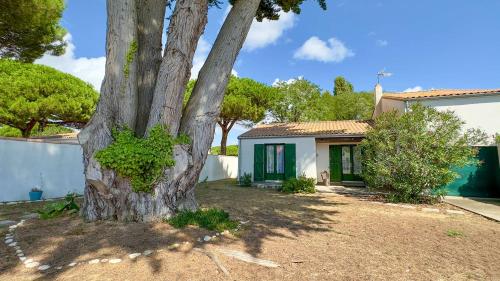 Petite maison à proximité de la plage - Location, gîte - La Couarde-sur-Mer